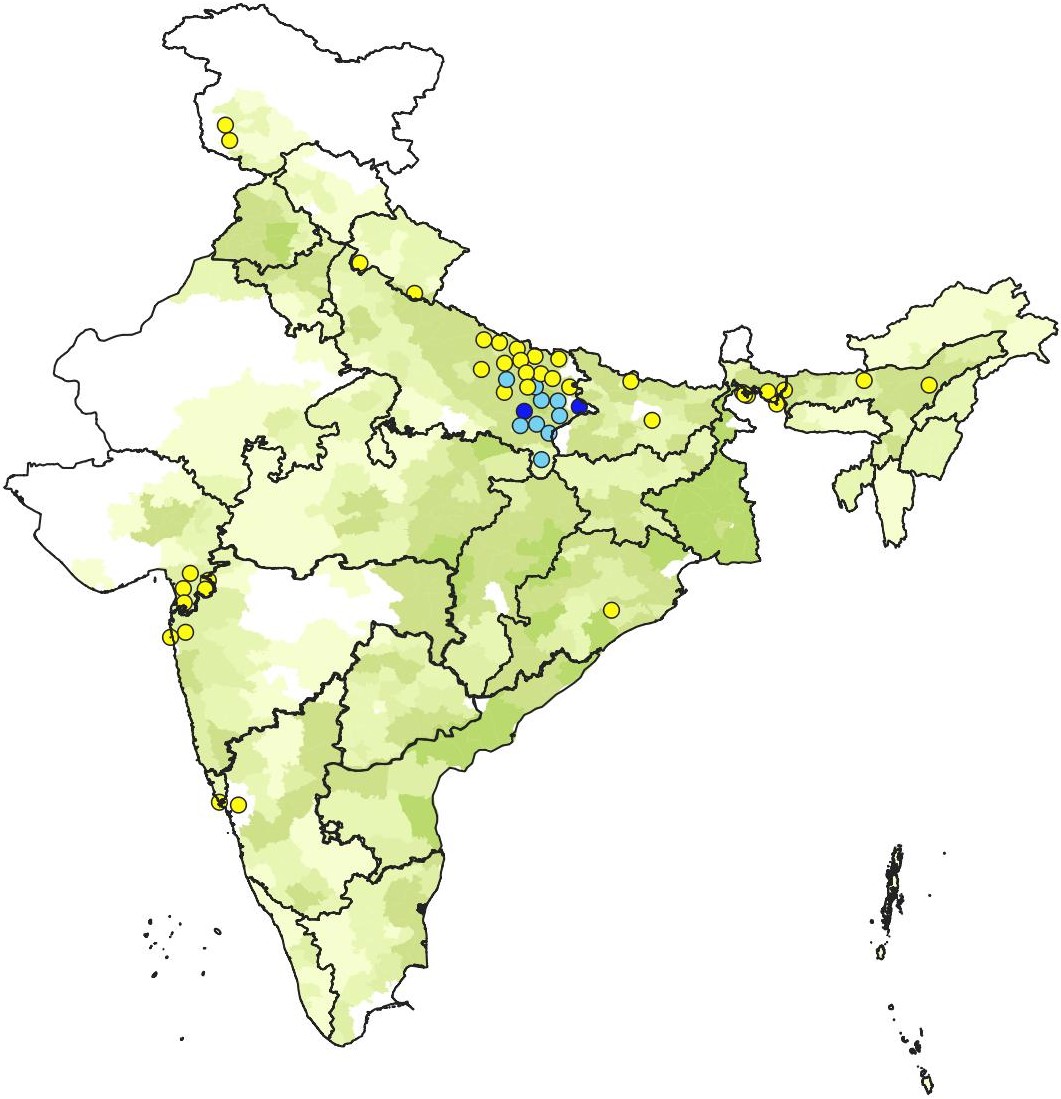 WBPH2010-19