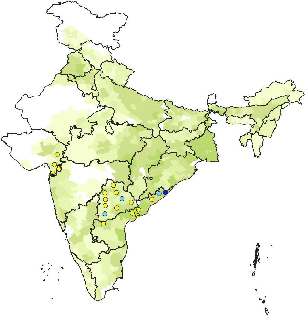 WBPH2010-19