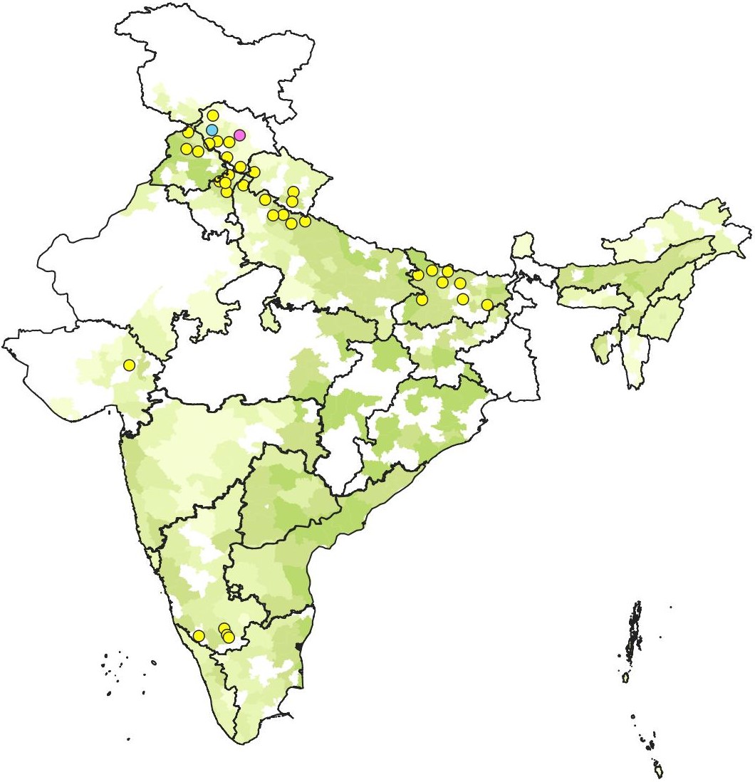 WBPH1980-89