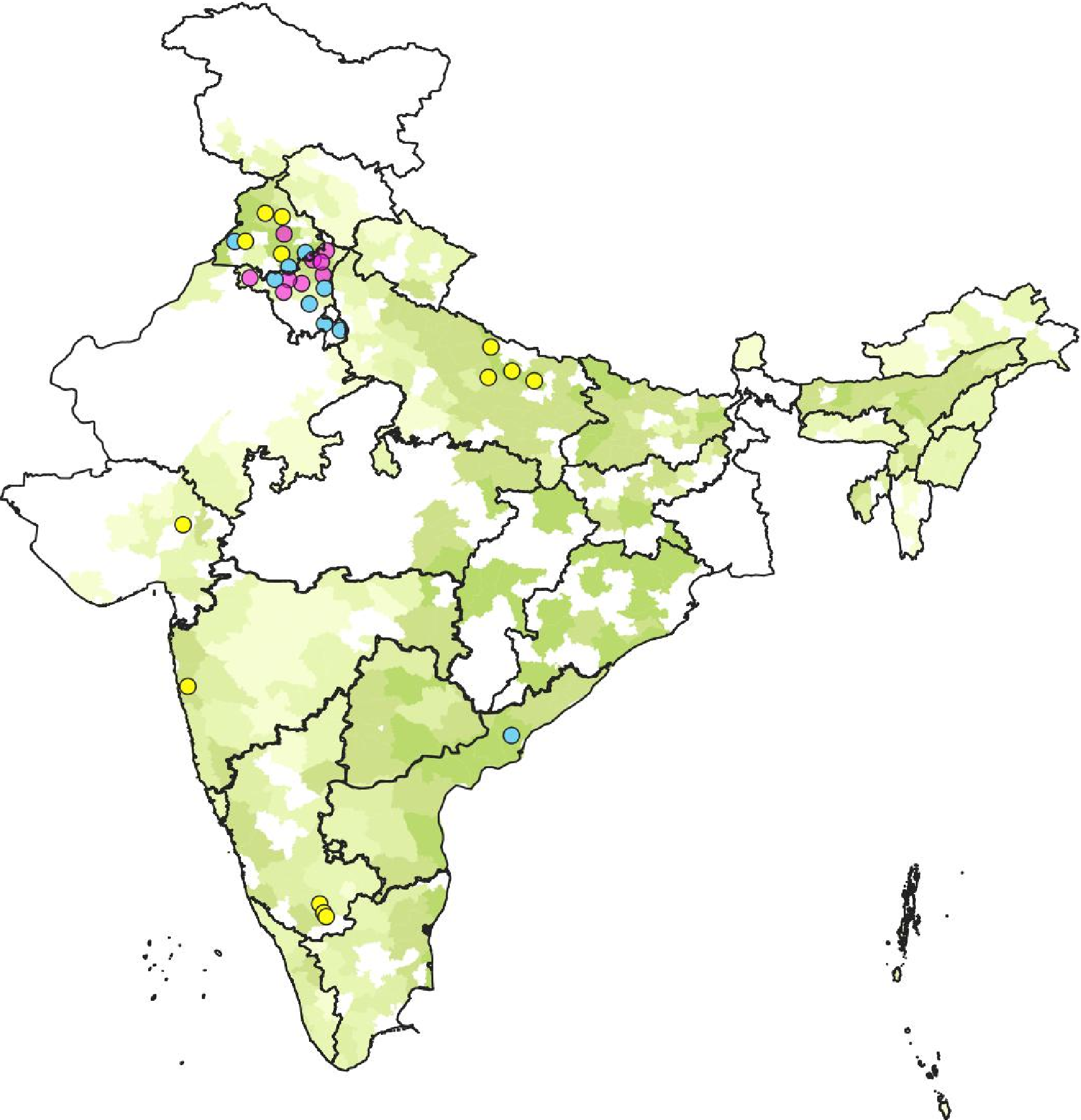 WBPH1980-89